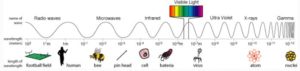  Frequency Spectrum